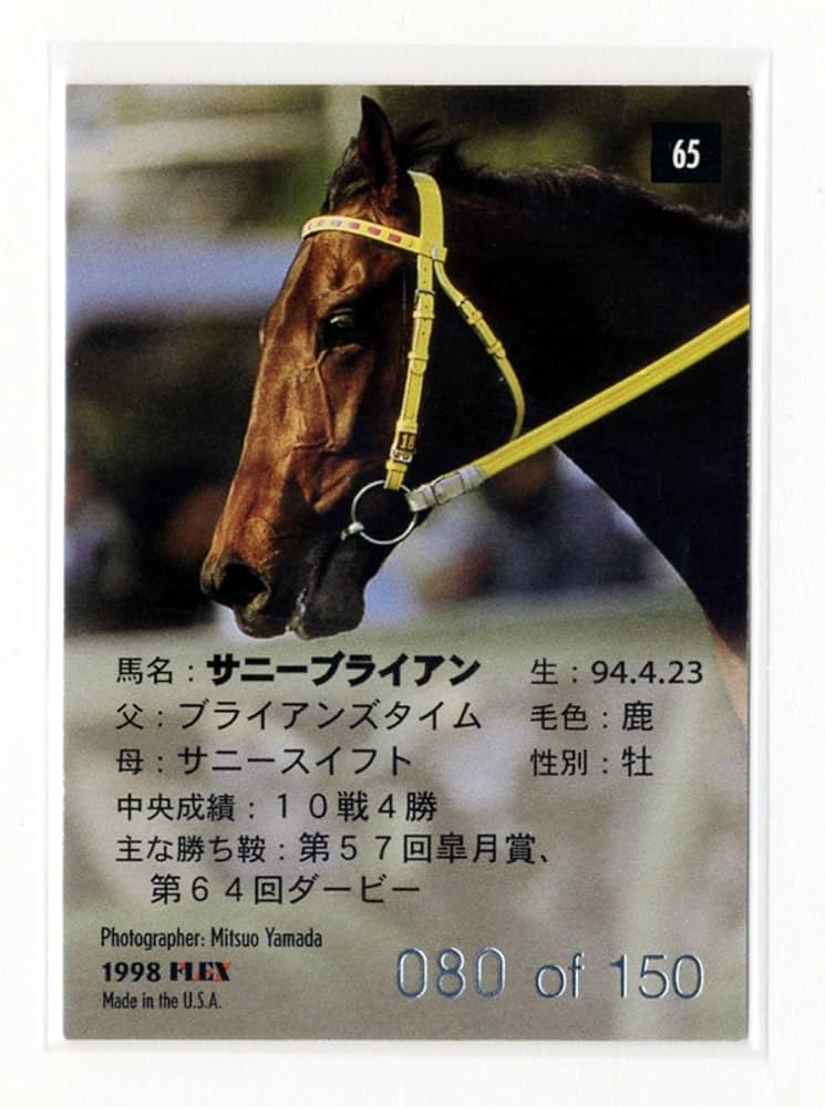 週刊100名馬　サニーブライアン Yahoo!オークション -「サニーブライアン」の落札相場・落札価格